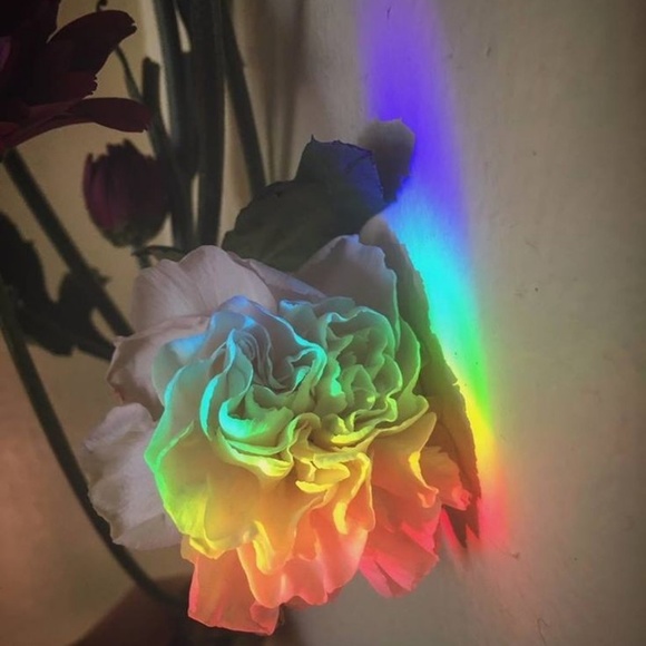 Meet your Posher, Adriana - Picture 1 of 1